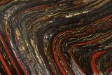 Polished Tiger Iron Stromatolite - Billion Years #129332-1